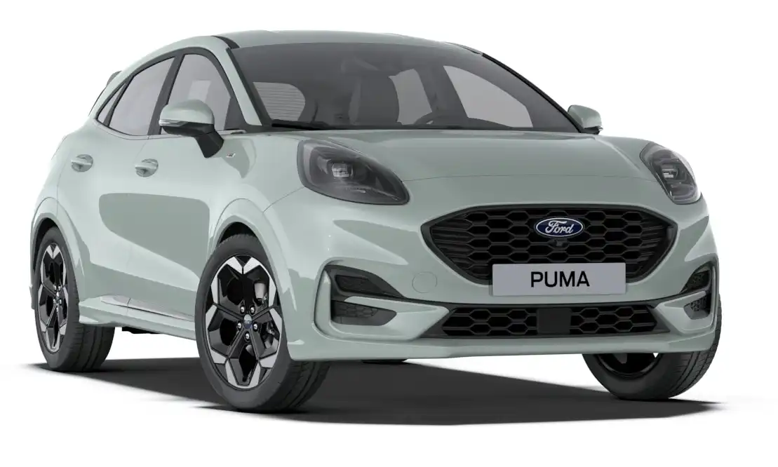 Puma