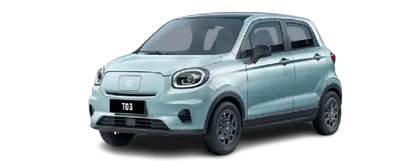 T03